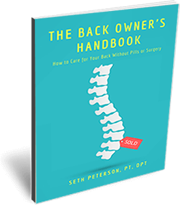 The Back Owner's Handbook by Dr. Seth Peterson